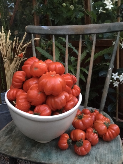 beefsteak tomatoes