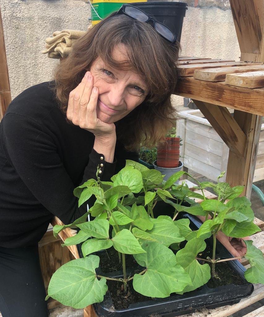 Runner beans