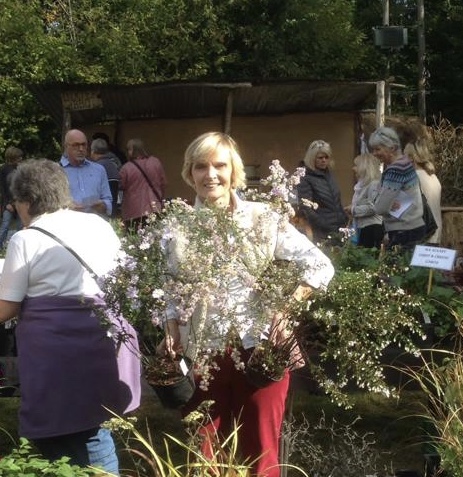 Great Dixter plant sale