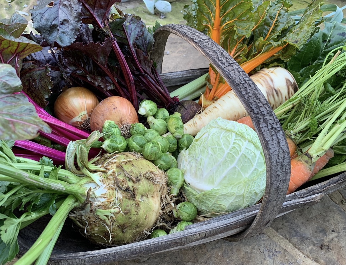 Winter vegetable trug