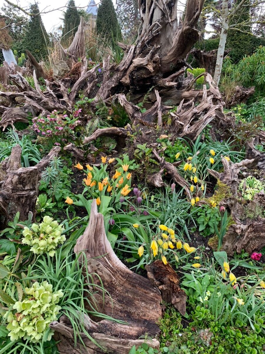 Arundel Castle Gardens stumpery