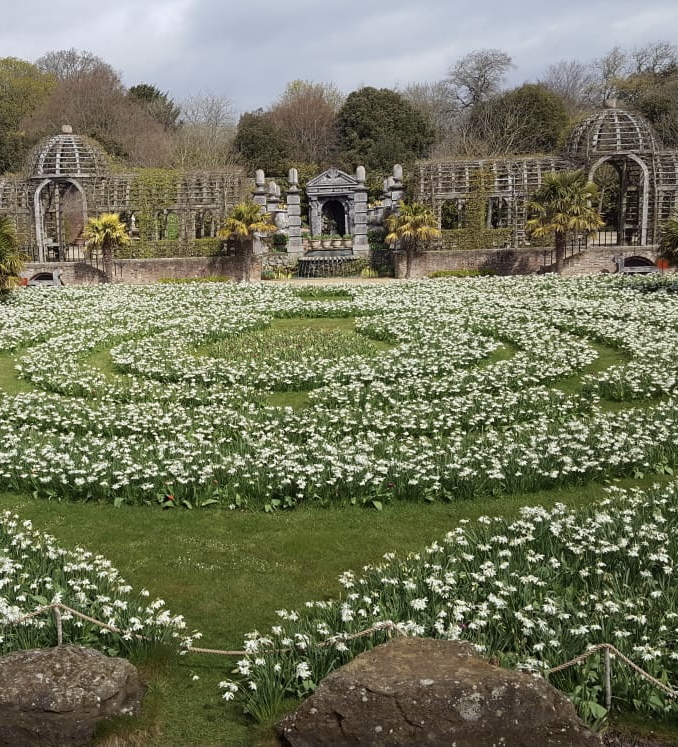 Arundel Castle Gardens labyrinth