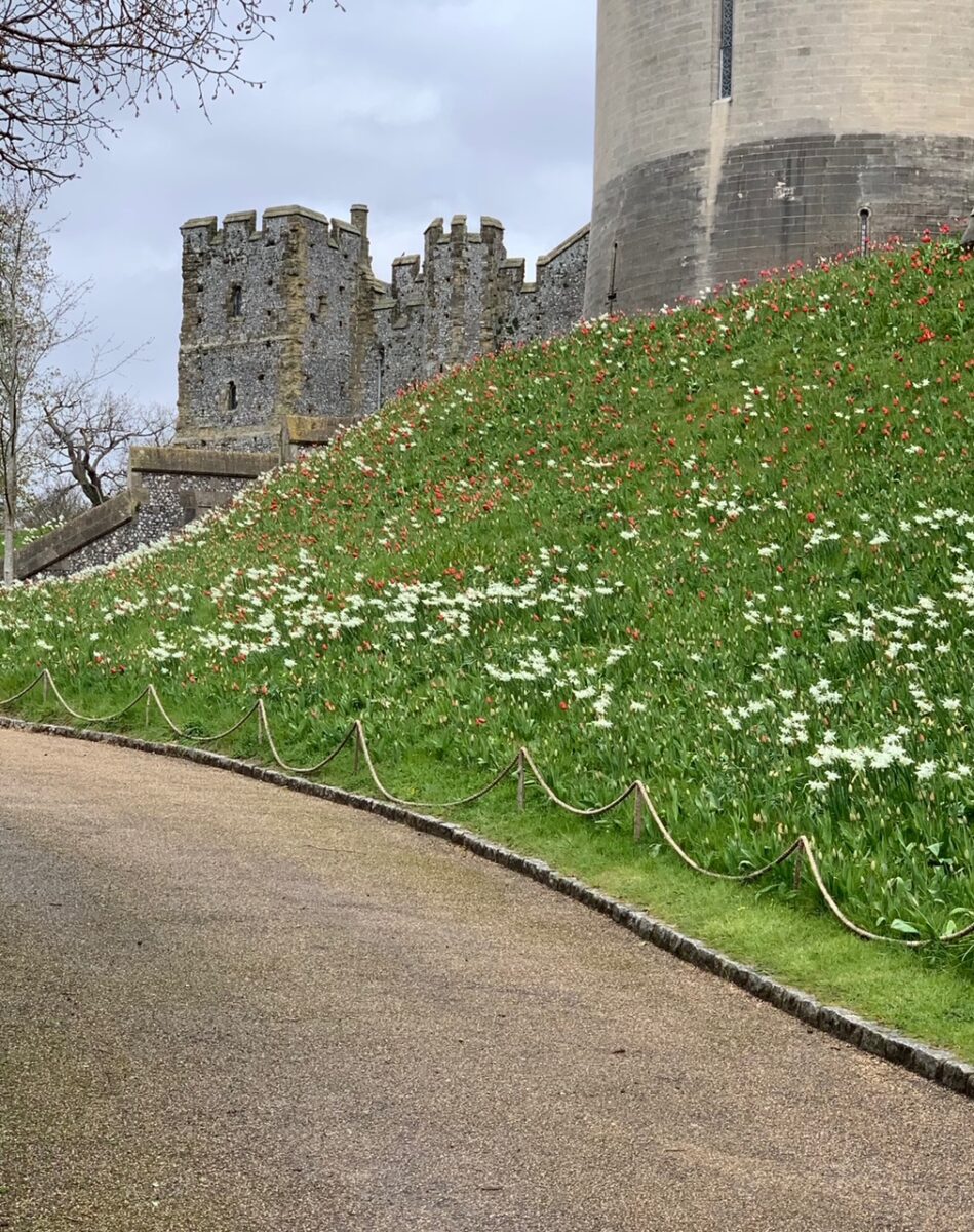 Arundel Castle Gardens the Keep