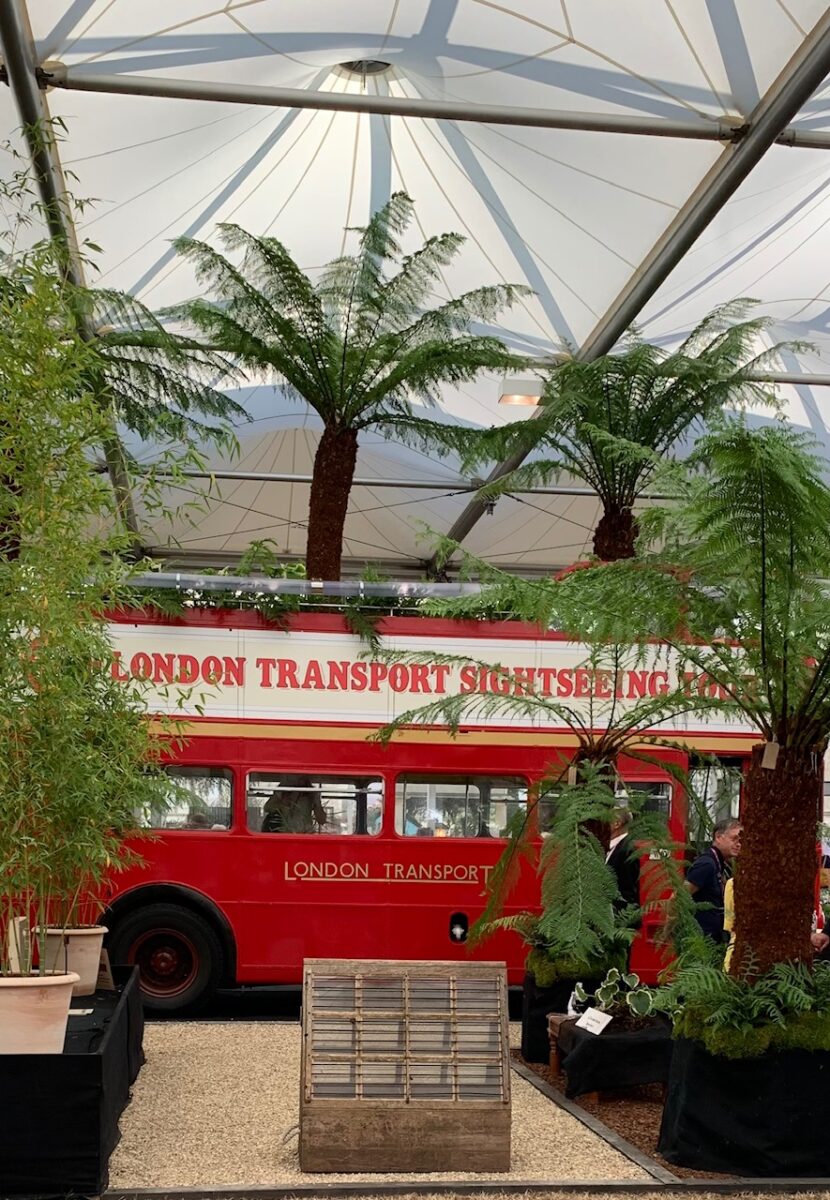 London bus at Chelsea