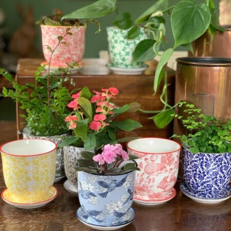 Liberte houseplant pots