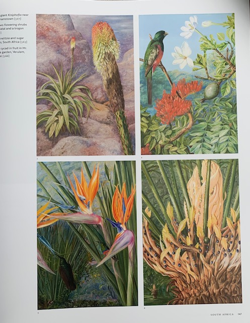 Marianne North book