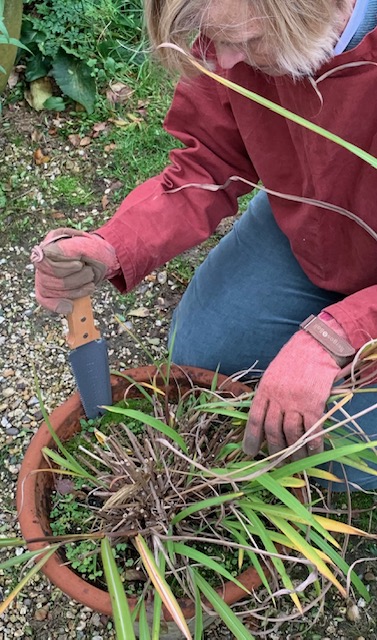 Pot knife