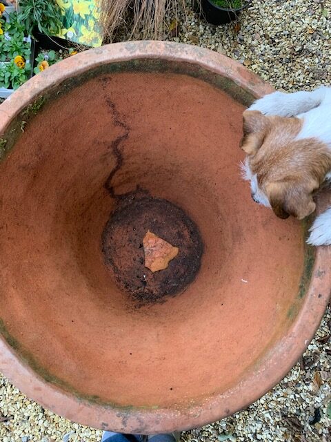 Crock in a pot