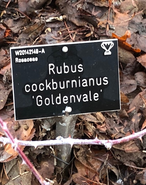 Plant label