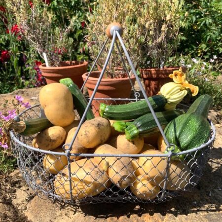 Harvesting basket - large
