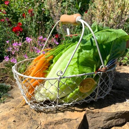 Harvesting basket - small