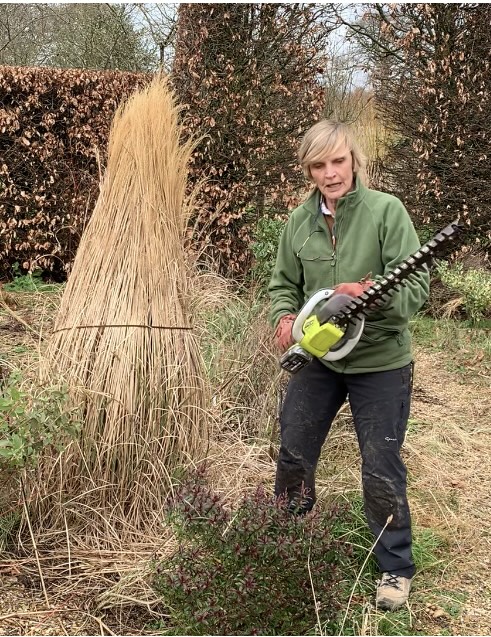 Laura and hedgetrimmer