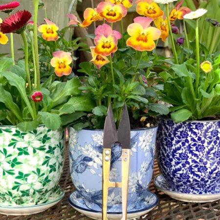 small pots and secateurs
