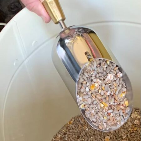 compost scoop full of bird food