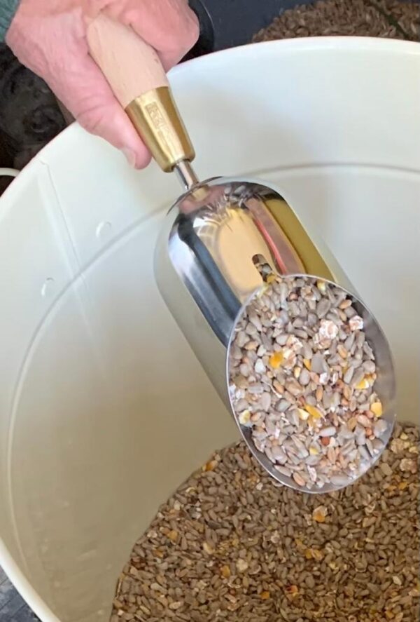 compost scoop full of bird food