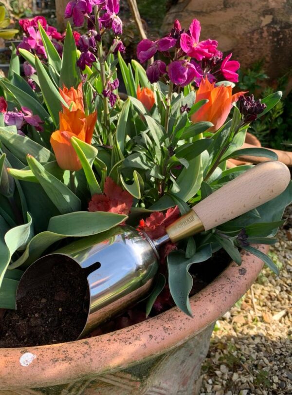 compost scoop in a pot of flowers