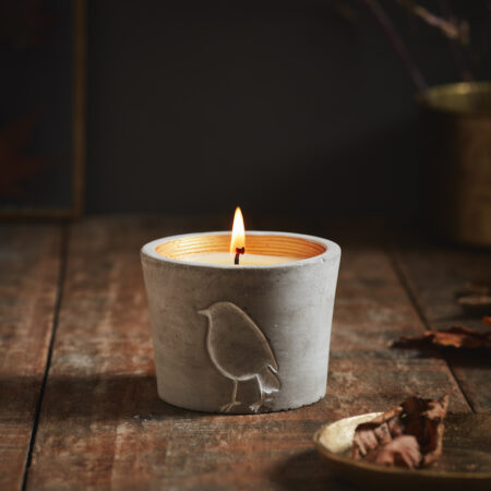 Winter candles - Inspiritus candle in copper-rimmed robin pot