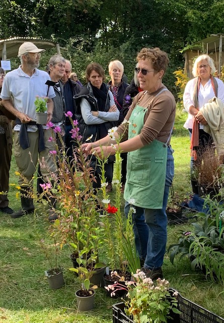 Great Dixter Plant Fair