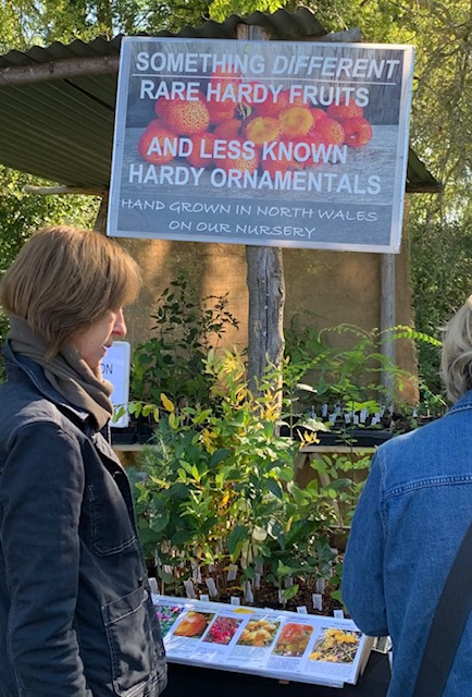 Great Dixter Plant Fair