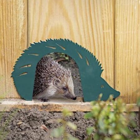 Hedgehog  gate