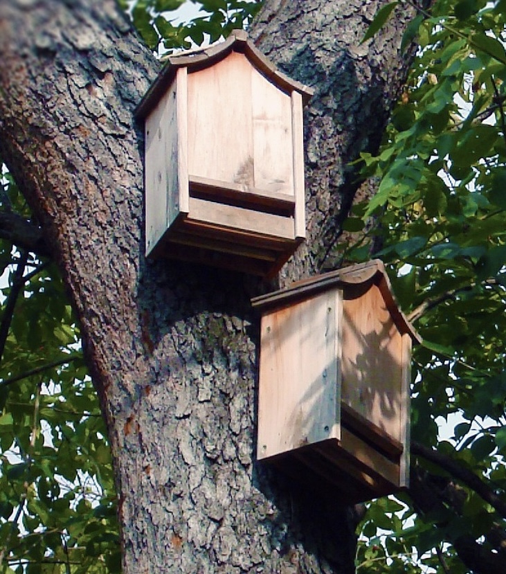 Bat boxes