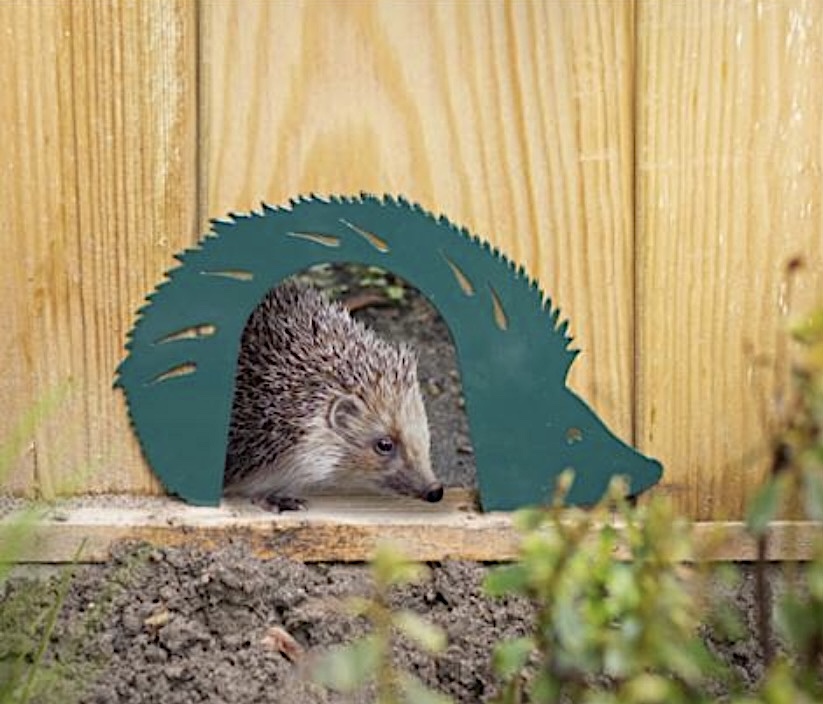Hedgehog gate