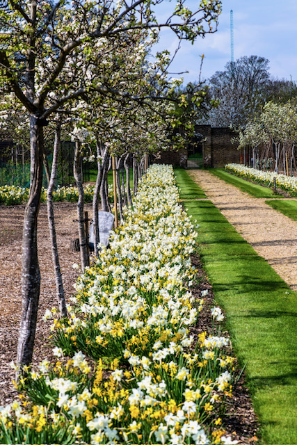 Chiswick House - walkway