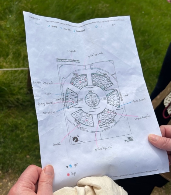 Chiswick House - rose garden plan