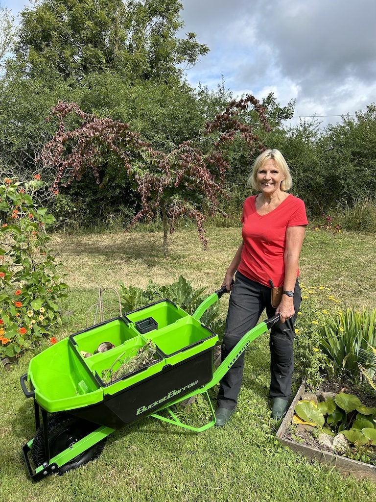 Low on sale profile wheelbarrow