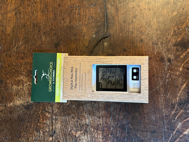Thermometer in package