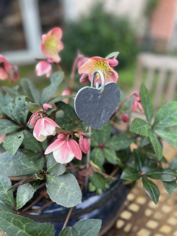 Slate plant marker - heart shaped