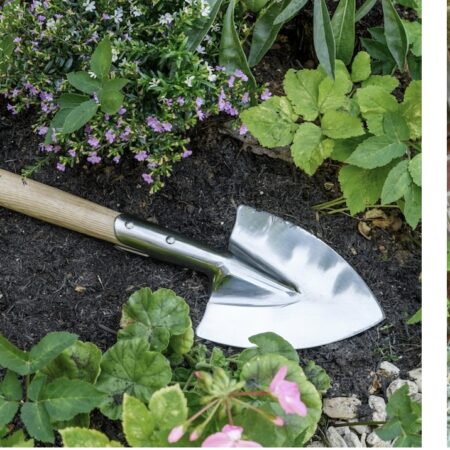 Perennial spade - RHS endorsed
