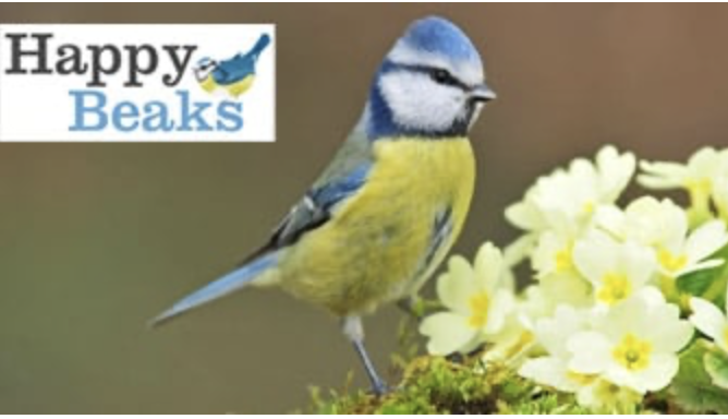 Get a fiver off + free delivery on Happy Beaks bird food