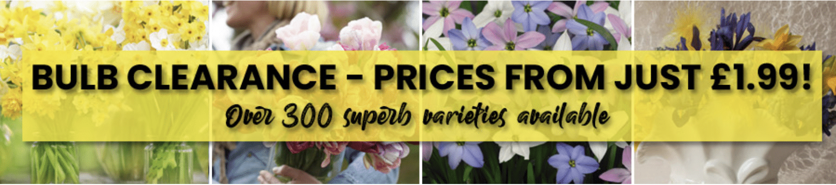 Suttons have a weekend bulb clearance sale!